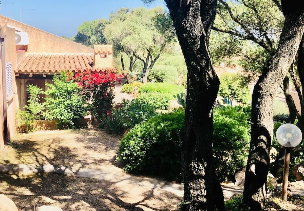 Villa Acqua & Sale Casa Stazzo Palau Exterior foto
